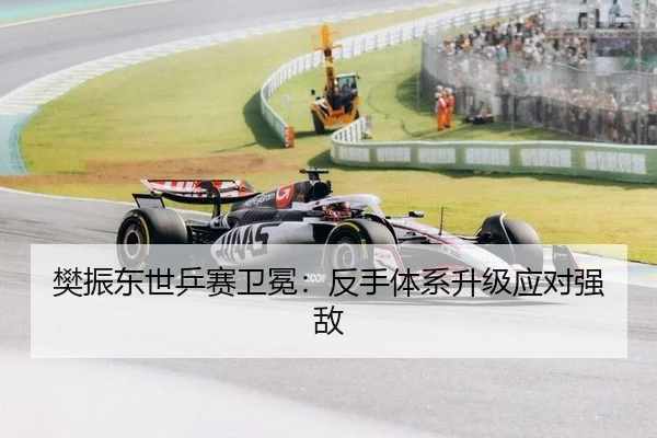 樊振东世乒赛卫冕：反手体系升级应对强敌